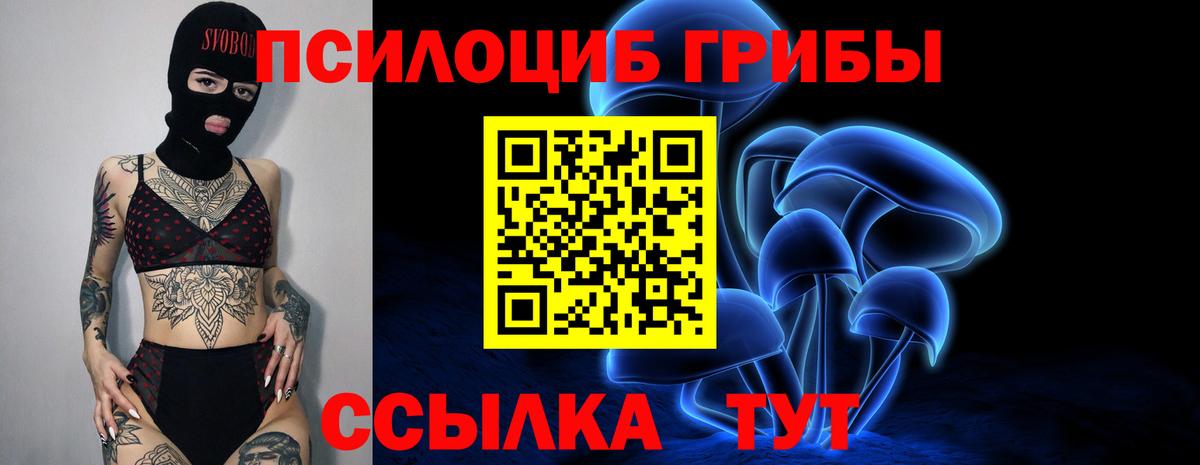 Галлюциногенные грибы ЛСД  Вход с VPN  Железногорск 